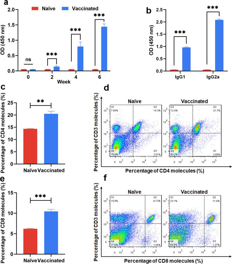 https://cdn.ncbi.nlm.nih.gov/pmc/blobs/66a4/10268463/d427e797b04d/40249_2023_1109_Fig4_HTML.jpg