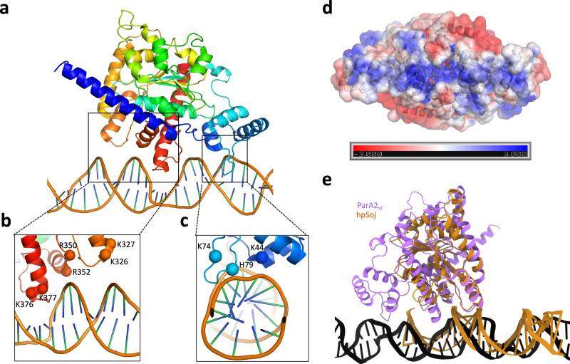 https://cdn.ncbi.nlm.nih.gov/pmc/blobs/66a7/8397727/d92fa95d23ed/41467_2021_25429_Fig4_HTML.jpg