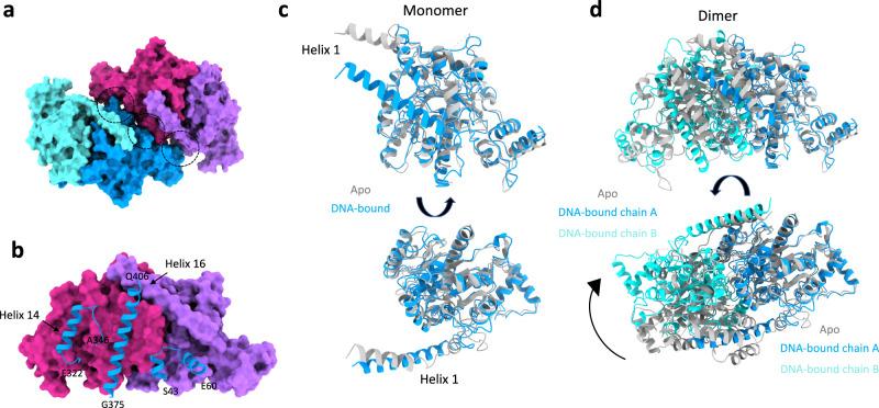 https://cdn.ncbi.nlm.nih.gov/pmc/blobs/66a7/8397727/d9a0a103c0ae/41467_2021_25429_Fig5_HTML.jpg