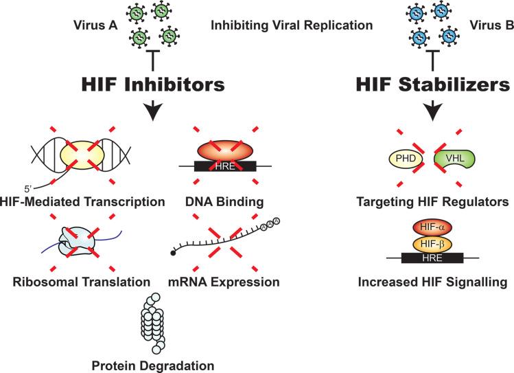 https://cdn.ncbi.nlm.nih.gov/pmc/blobs/66a8/8119216/10698c3bfe8c/jciinsight-6-147190-g003.jpg