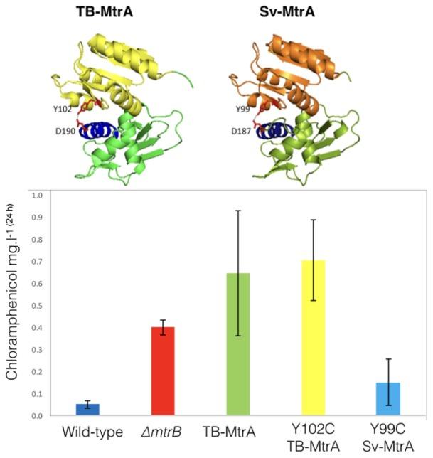 https://cdn.ncbi.nlm.nih.gov/pmc/blobs/66a9/5487470/236c28312681/fmicb-08-01145-g006.jpg