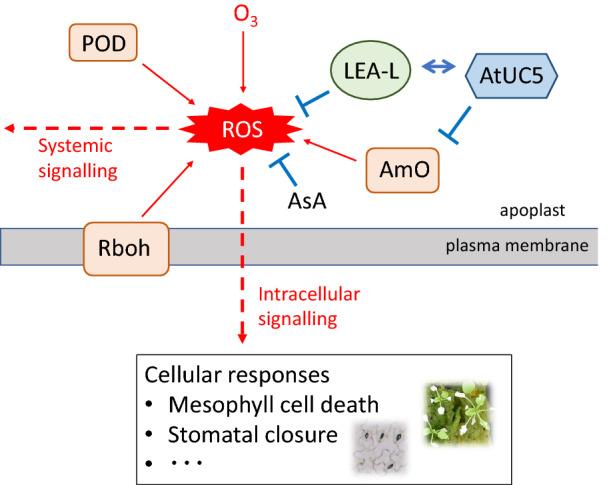 https://cdn.ncbi.nlm.nih.gov/pmc/blobs/66a9/9780206/3e4f65af0f39/41598_2022_25706_Fig6_HTML.jpg