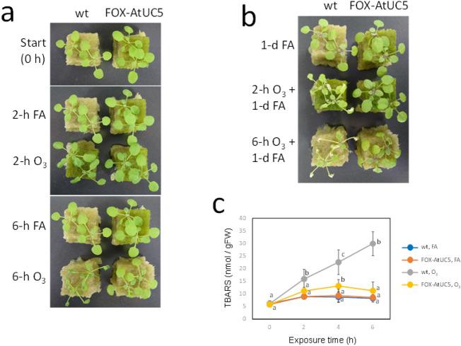 https://cdn.ncbi.nlm.nih.gov/pmc/blobs/66a9/9780206/6864f50a715d/41598_2022_25706_Fig1_HTML.jpg