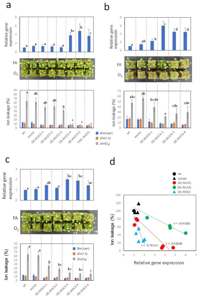 https://cdn.ncbi.nlm.nih.gov/pmc/blobs/66a9/9780206/70e19162c795/41598_2022_25706_Fig5_HTML.jpg