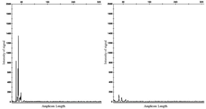 https://cdn.ncbi.nlm.nih.gov/pmc/blobs/66aa/9774803/a324089b1fb5/animals-12-03531-g003.jpg