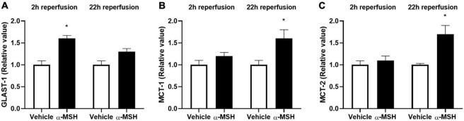 https://cdn.ncbi.nlm.nih.gov/pmc/blobs/66ab/8914517/7b69e31b72d6/fnins-16-799739-g007.jpg