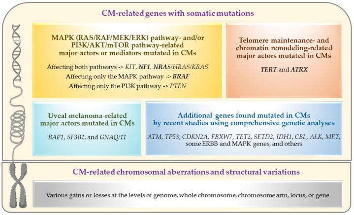 https://cdn.ncbi.nlm.nih.gov/pmc/blobs/66af/10530751/0fe25039a8d6/genes-14-01668-g002.jpg