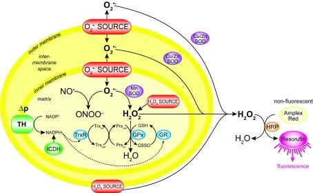 https://cdn.ncbi.nlm.nih.gov/pmc/blobs/66b0/2605959/a0cbd11ab272/bic234i002.jpg