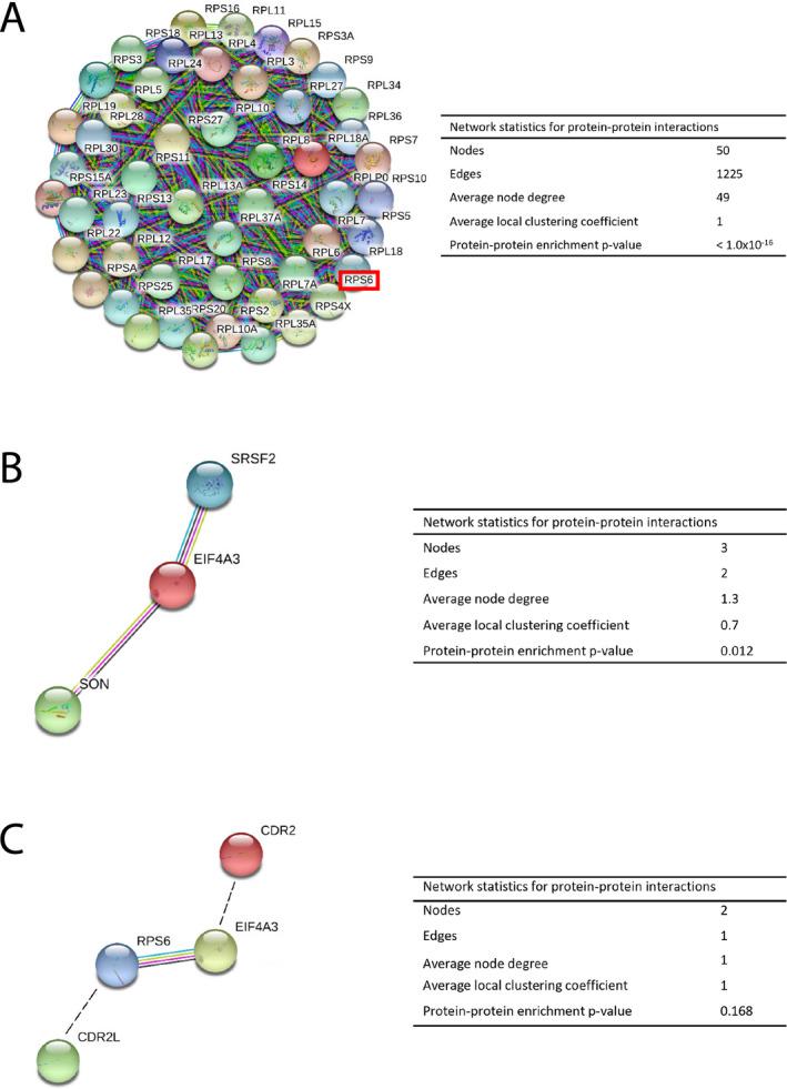https://cdn.ncbi.nlm.nih.gov/pmc/blobs/66b0/7664253/677f6f2ec5b6/ACN3-7-2231-g001.jpg