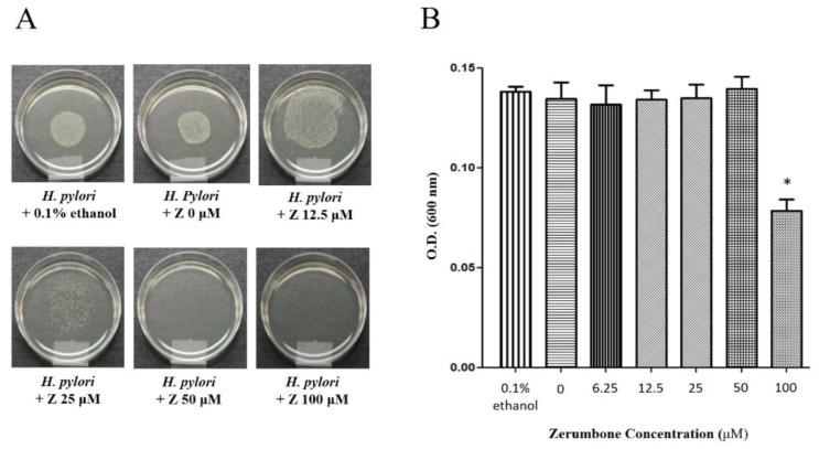 https://cdn.ncbi.nlm.nih.gov/pmc/blobs/66b0/8124612/02cd35f23c92/molecules-26-02663-g001.jpg