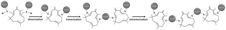 https://cdn.ncbi.nlm.nih.gov/pmc/blobs/66b0/8124612/b32428103534/molecules-26-02663-g006.jpg
