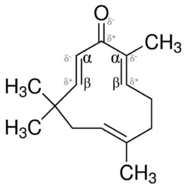 https://cdn.ncbi.nlm.nih.gov/pmc/blobs/66b0/8124612/f019d71652cf/molecules-26-02663-g005.jpg