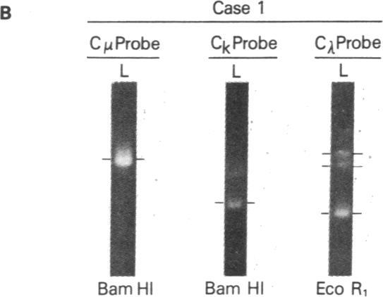 https://cdn.ncbi.nlm.nih.gov/pmc/blobs/66b1/349202/cbb3c36e1a09/pnas00662-0559-a.jpg