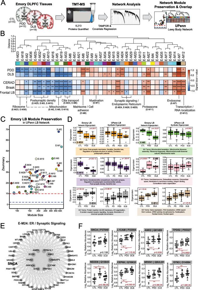 https://cdn.ncbi.nlm.nih.gov/pmc/blobs/66b4/11302177/2ce86b49827d/13024_2024_749_Fig4_HTML.jpg