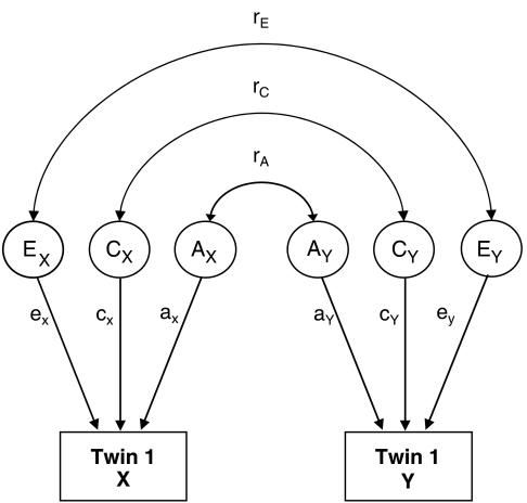 https://cdn.ncbi.nlm.nih.gov/pmc/blobs/66b6/2841819/1bc52966c08d/cdir0016-0284-f1.jpg