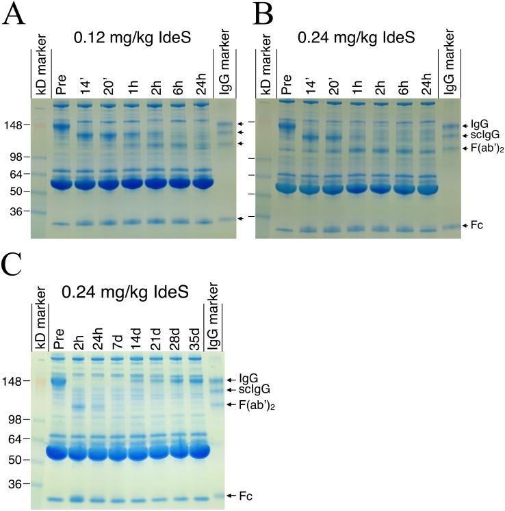 https://cdn.ncbi.nlm.nih.gov/pmc/blobs/66b6/4503742/d84f6179c6ee/pone.0132011.g004.jpg