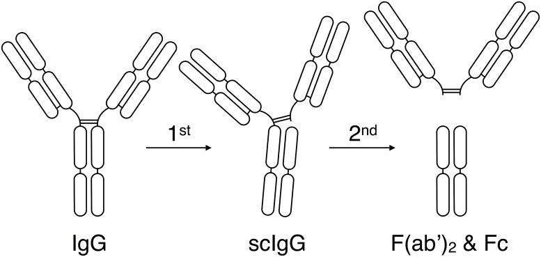 https://cdn.ncbi.nlm.nih.gov/pmc/blobs/66b6/4503742/d89f4ea394df/pone.0132011.g003.jpg