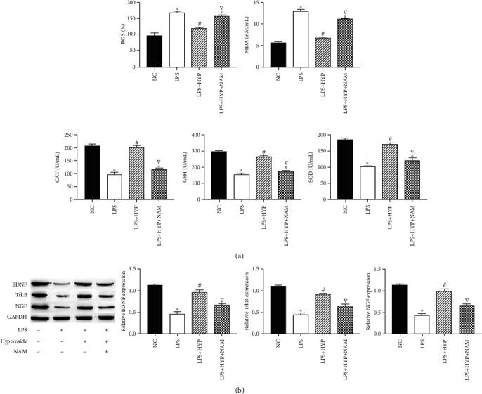 https://cdn.ncbi.nlm.nih.gov/pmc/blobs/66b8/8213468/50c791bd57a5/NP2021-8706400.004.jpg