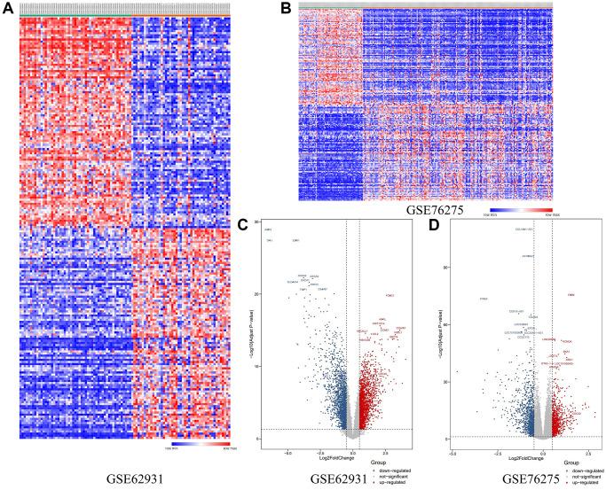 https://cdn.ncbi.nlm.nih.gov/pmc/blobs/66b8/8580355/475ca4ce474c/aging-13-203642-g002.jpg