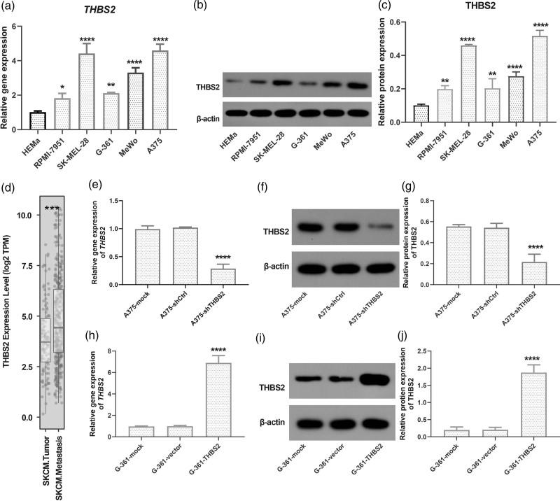 https://cdn.ncbi.nlm.nih.gov/pmc/blobs/66bc/12393067/022bb0ee03c1/mr-35-306-g001.jpg