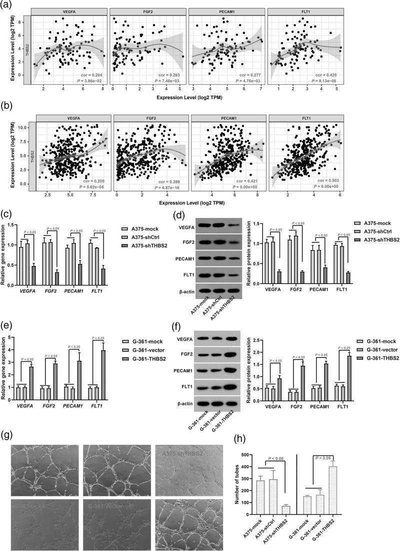 https://cdn.ncbi.nlm.nih.gov/pmc/blobs/66bc/12393067/34a01cf64e47/mr-35-306-g002.jpg