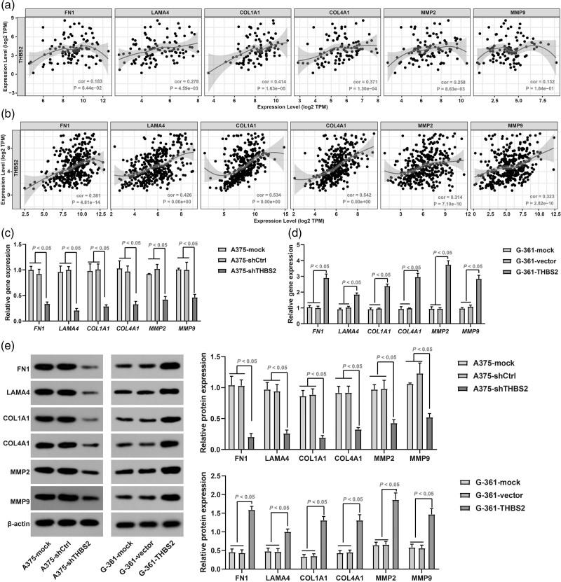 https://cdn.ncbi.nlm.nih.gov/pmc/blobs/66bc/12393067/815cbc1335bf/mr-35-306-g004.jpg