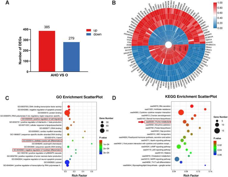 https://cdn.ncbi.nlm.nih.gov/pmc/blobs/66c0/12307410/93453de5a26a/fnut-12-1620180-g001.jpg