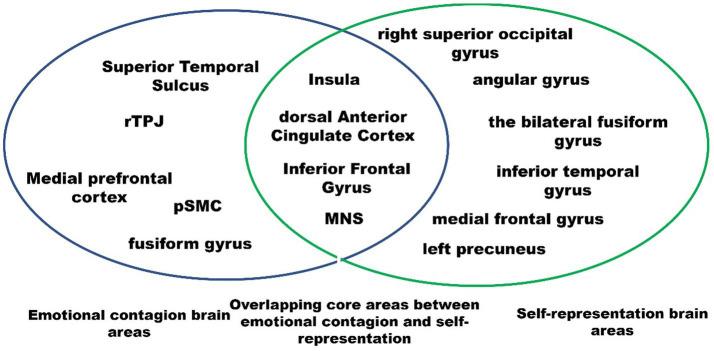 https://cdn.ncbi.nlm.nih.gov/pmc/blobs/66c2/11111881/828e386fa291/fnhum-18-1361368-g001.jpg