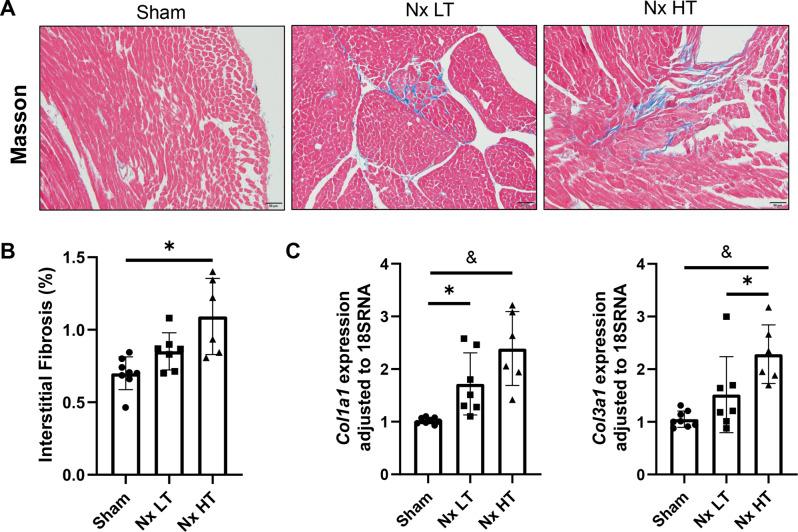 https://cdn.ncbi.nlm.nih.gov/pmc/blobs/66c3/12219627/fbe9b55968da/12882_2025_4203_Fig6_HTML.jpg