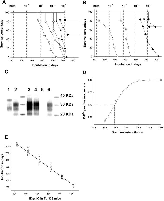 https://cdn.ncbi.nlm.nih.gov/pmc/blobs/66c4/2587713/e87cb58268b1/ppat.1000238.g003.jpg