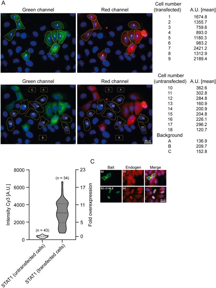 https://cdn.ncbi.nlm.nih.gov/pmc/blobs/66c5/10200994/68d406f7bacb/figs3.jpg