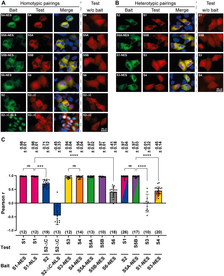 https://cdn.ncbi.nlm.nih.gov/pmc/blobs/66c5/10200994/7b2cf63018bf/gr2.jpg
