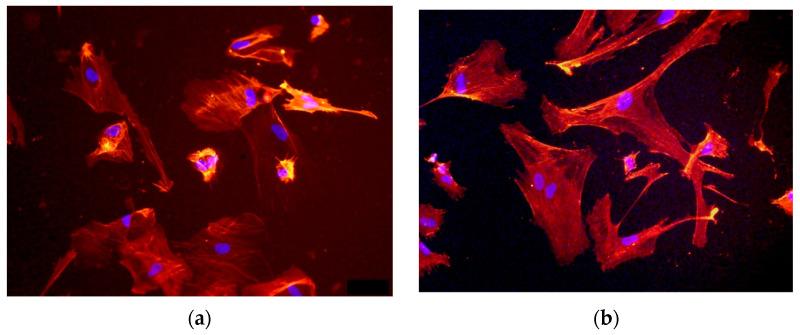 https://cdn.ncbi.nlm.nih.gov/pmc/blobs/66c5/11313228/037d0da229f5/materials-17-03833-g004.jpg