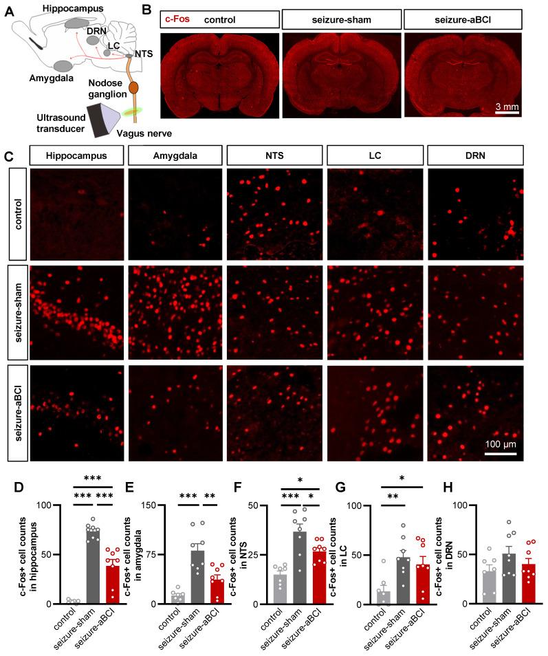 https://cdn.ncbi.nlm.nih.gov/pmc/blobs/66c6/11426232/4afa9dd65975/thnov14p5965g005.jpg