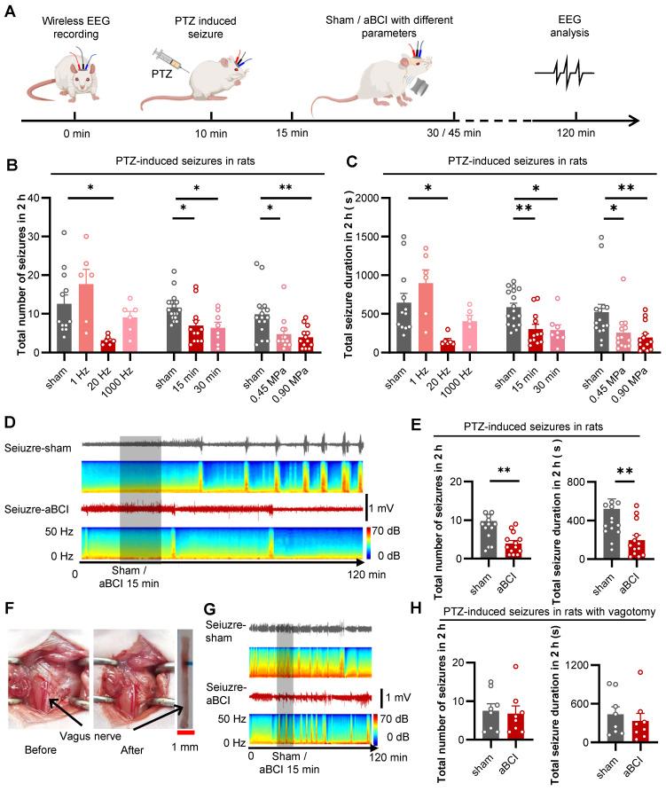 https://cdn.ncbi.nlm.nih.gov/pmc/blobs/66c6/11426232/811ca96c3785/thnov14p5965g003.jpg