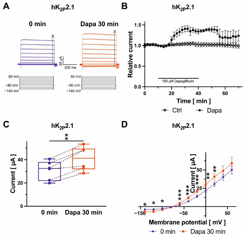 https://cdn.ncbi.nlm.nih.gov/pmc/blobs/66c8/11172209/13567c569d7e/ijms-25-05701-g005.jpg