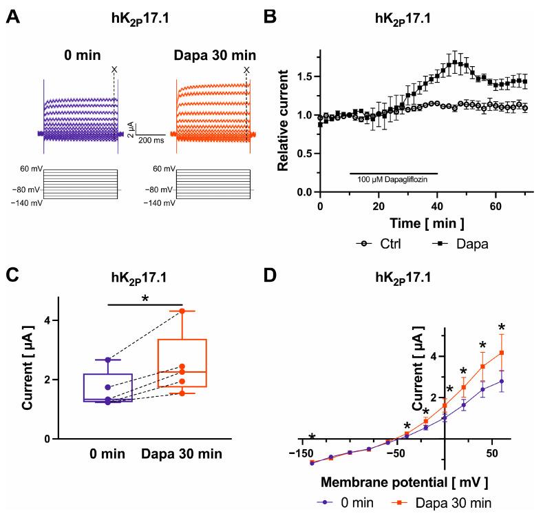 https://cdn.ncbi.nlm.nih.gov/pmc/blobs/66c8/11172209/6dd011fb2a8e/ijms-25-05701-g007.jpg