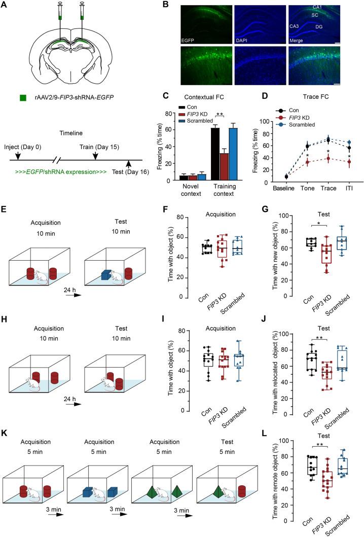 https://cdn.ncbi.nlm.nih.gov/pmc/blobs/66c9/11306496/0b856090e0ce/12264_2023_1174_Fig8_HTML.jpg