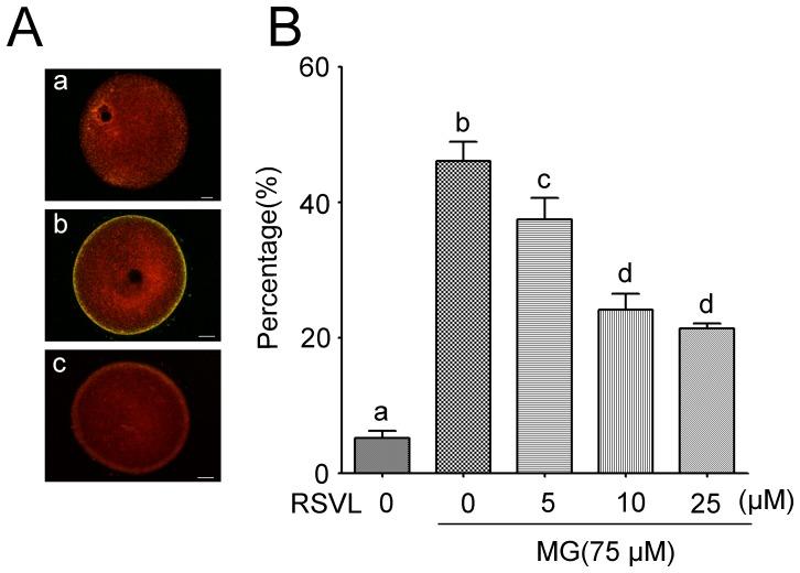 https://cdn.ncbi.nlm.nih.gov/pmc/blobs/66ca/3806792/238b2f59e0ca/pone.0077960.g006.jpg