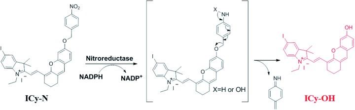 https://cdn.ncbi.nlm.nih.gov/pmc/blobs/66cd/7020795/e97bea1e8dba/c9sc03355f-s2.jpg