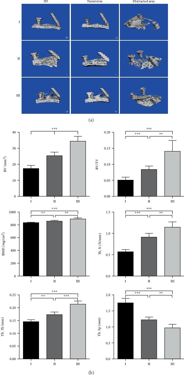 https://cdn.ncbi.nlm.nih.gov/pmc/blobs/66cd/7196141/37d2421070fe/BMRI2020-7381391.006.jpg