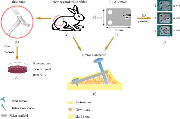 https://cdn.ncbi.nlm.nih.gov/pmc/blobs/66cd/7196141/cb2e4e6febee/BMRI2020-7381391.001.jpg