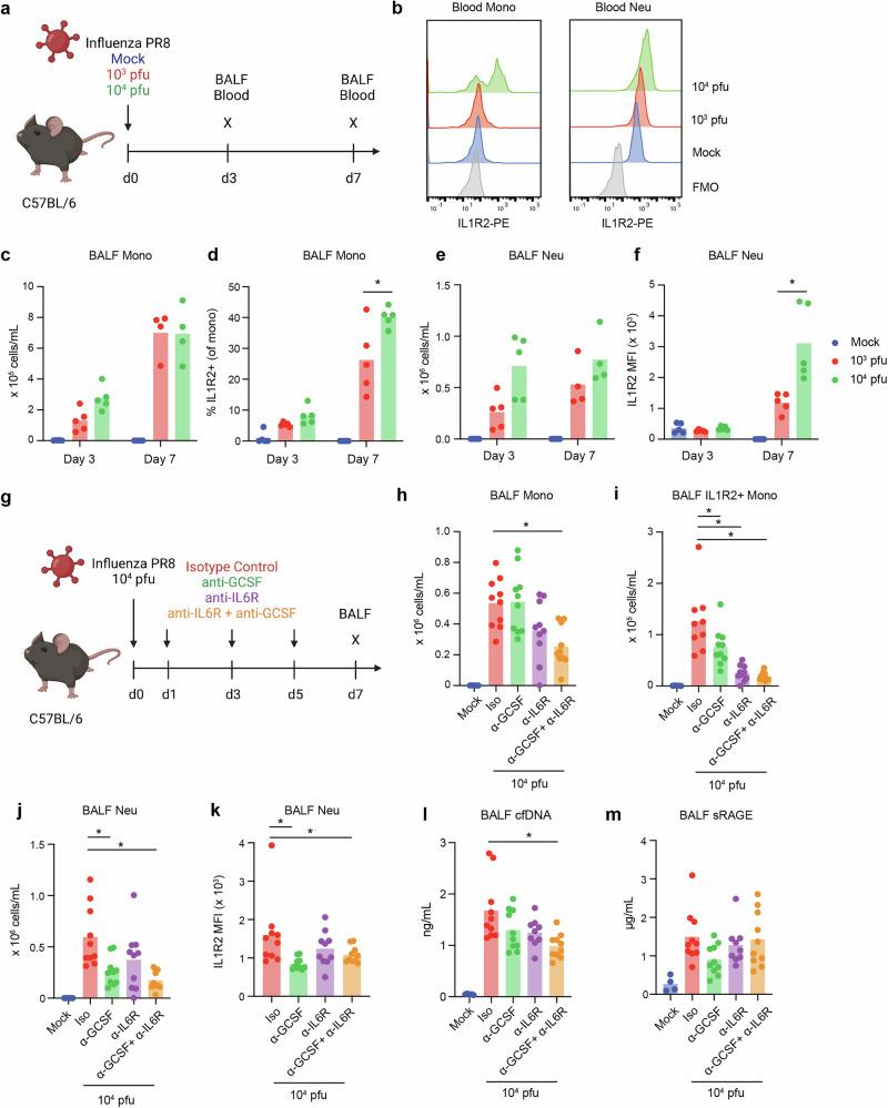 https://cdn.ncbi.nlm.nih.gov/pmc/blobs/66ce/12287453/26924c719ec0/42003_2025_8407_Fig4_HTML.jpg