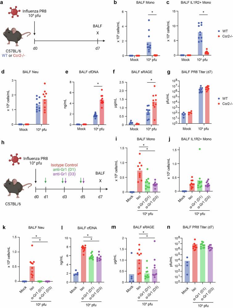 https://cdn.ncbi.nlm.nih.gov/pmc/blobs/66ce/12287453/500bbd1355c2/42003_2025_8407_Fig5_HTML.jpg