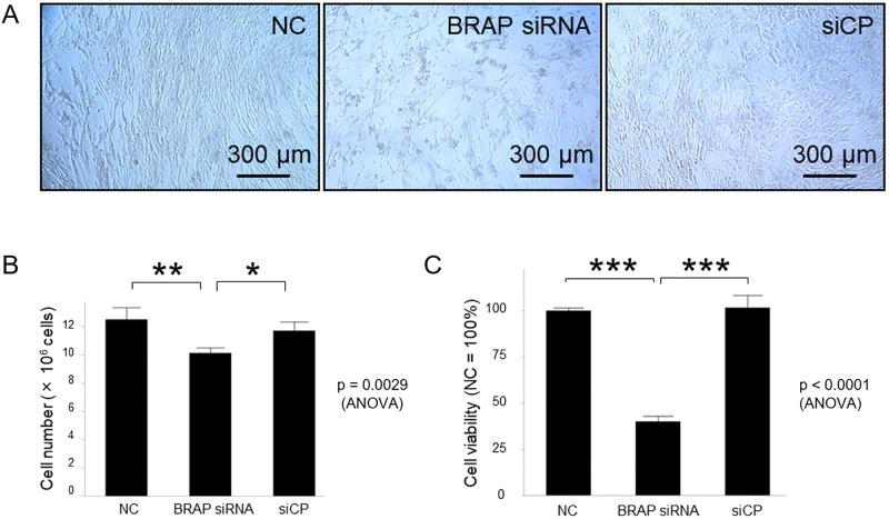 https://cdn.ncbi.nlm.nih.gov/pmc/blobs/66ce/6355015/d7d813687a88/pone.0211450.g003.jpg