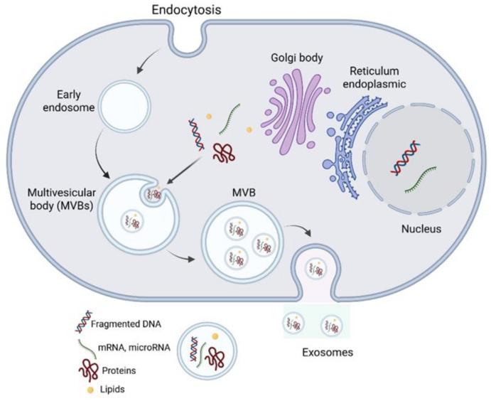 https://cdn.ncbi.nlm.nih.gov/pmc/blobs/66d6/12251442/87d3cb2dc8ae/nanomaterials-15-01005-g001.jpg