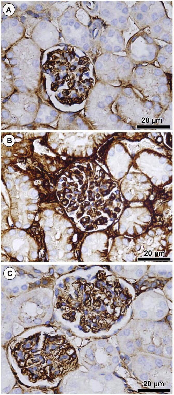 https://cdn.ncbi.nlm.nih.gov/pmc/blobs/66d7/6303185/fef1c6f4539b/gr4.jpg