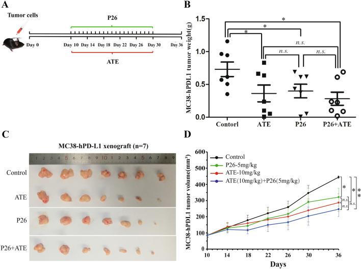 https://cdn.ncbi.nlm.nih.gov/pmc/blobs/66d8/7603469/8d453218c905/280_2020_4167_Fig4_HTML.jpg