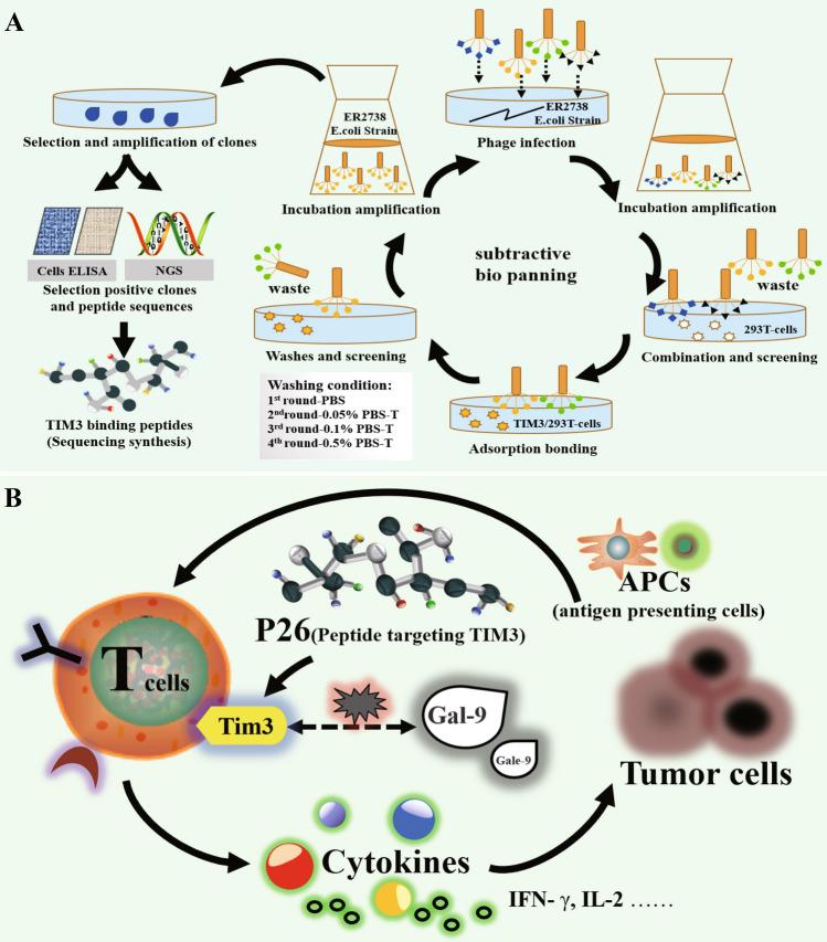 https://cdn.ncbi.nlm.nih.gov/pmc/blobs/66d8/7603469/d94a077bb981/280_2020_4167_Fig5_HTML.jpg
