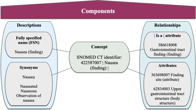 https://cdn.ncbi.nlm.nih.gov/pmc/blobs/66da/10770786/cdfd2dbfee35/medinform_v11i1e49301_fig1.jpg